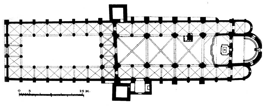 sant ambrogio pianta